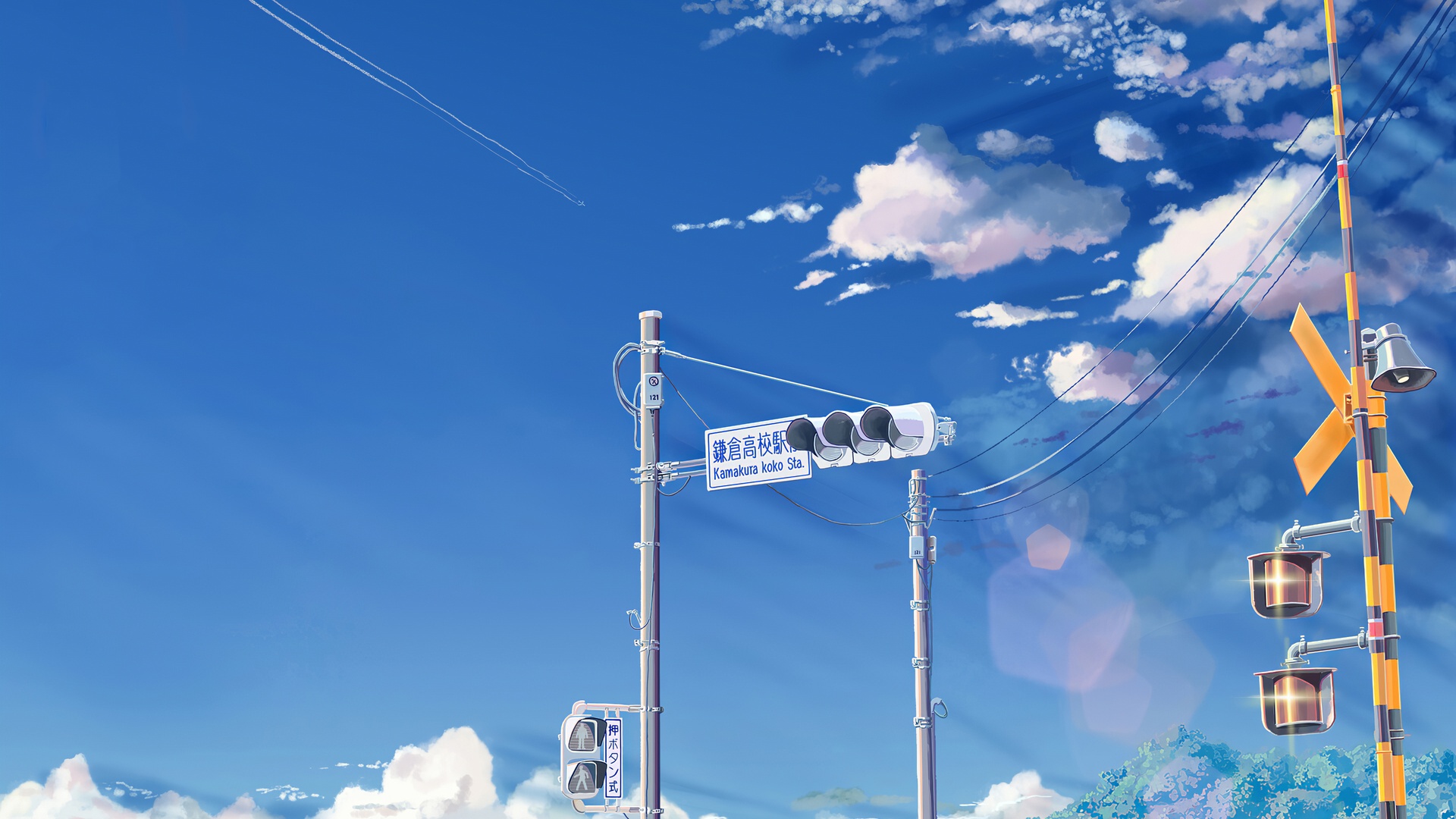 每周更新